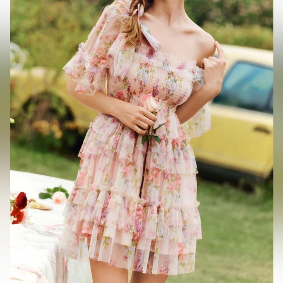 Coquette cottage core tulle mini dress floral nude flared shear netting - Picture 2 of 10